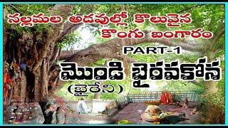 Mondi BhairavaKona, నల్లమల అడవుల్లో కొలువైన కొంగు బంగారం,  Baireni, Bhairavakona, Mydukur, Kadapa,