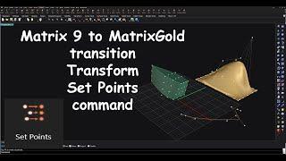 Matrix 9 to MatrixGold Transform Set Points Command