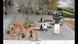 Olin Library
