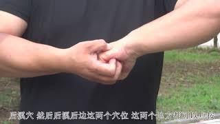 3组具有缓解腰疼的运动疗法，以拉伸和点按穴位为主