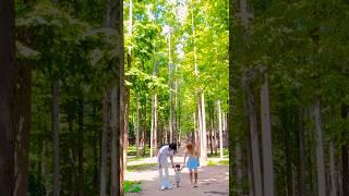 너무너무 예쁘고 아름다운 숲을 소개합니다ㅣKorean Forestㅣ国际夫妻