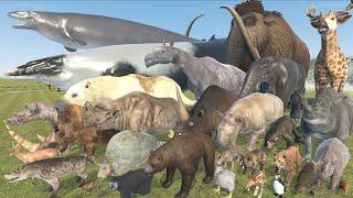 Cenozoic Beast Size Comparison | 3D Animation | Real Scale Comparison