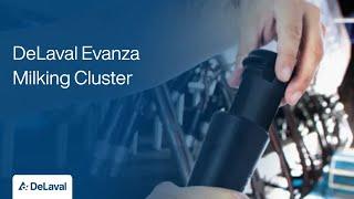 DeLaval Evanza Milking Cluster | The Future Of Milking Is Here | DeLaval