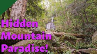 The Hidden Secrets of Great Smoky Mountains National Park