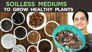 Mediums to Grow Plants without soil | 10 soilless Mediums you can use | Growing Mediums explained