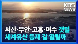 서산·무안·고흥·여수 갯벌, 세계유산 등재 ‘성큼’ [기후는 말한다] / KBS  2025.03.07.