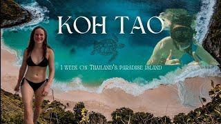 Exploring Koh Tao - Thailand's Paradise Island 