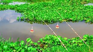 Best Fishing Video ~ Village Smart Boy Fishing With Hook ~ Traditional Hook Fishing