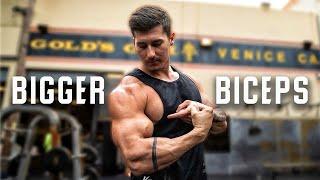 How to quickly grow BIGGER BICEPS