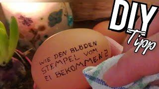 DIY Tipp 2 Methoden wie du den Stempel vom Ei entfernen kannst, how to remove the stamp from the egg