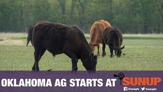 The Benefits of Limit Grazing (10/5/19)