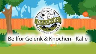 Bellfor Gelenk & Knochen - Kalle