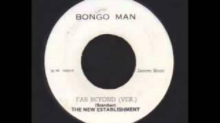 Far Beyond + Dub - Leroy Wallace (Bongo Man)