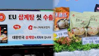 "유럽 식탁에 오른다"…K-보양식 삼계탕 첫 수출 / 연합뉴스TV (YonhapnewsTV)