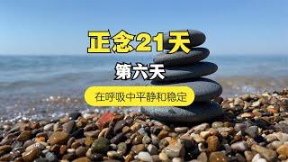 Day6 21天正念冥想 | 在呼吸中平静稳定｜21 Days of meditation guide for beginners—Day6 Calming with the breath