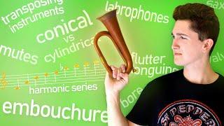 How do Brass instruments actually work?