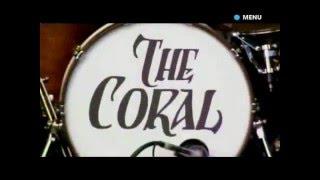 The Coral - Glastonbury 2007