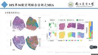 空转第七课单细胞空间联合分析MIA 空转第七课单细胞空间联合分析MIA