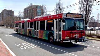 Bus Action on Comm Ave - Boston University Shuttles & MBTA Busses, Novabus LFS, New Flyer D60 & More