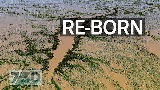 Lake Eyre’s biggest flood in nearly 50 years | 7.30