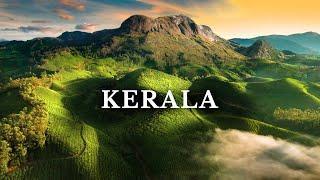 Kerala’s Most Beautiful Place | Munnar | South India | Kolukkumalai