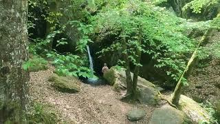 Schmale Pfade,Wasserfälle und eine tolle Ruine-Unterwegs in der Ehrbachklamm