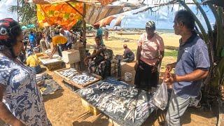 Hard Day For Women! A Day in the Life of Negombo's Fearless Fisherwomen In Beach Fish Market