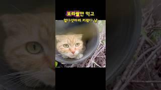 이제 그만 편하게 살아~