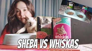Sheba vs Whiskas (wet food)