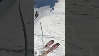 Avalanche Mitigation