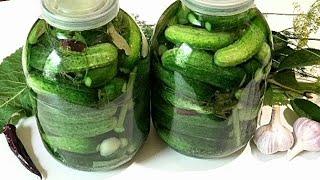 САМЫЙ ПРОСТОЙ способ засолки огурцов на зиму. КВАШЕНЫЕ ОГУРЦЫ /Salted cucumbers