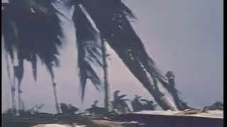 WW2 Battle of Tarawa | Combat Footage in the Pacific War Prat 1