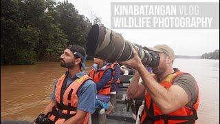 Wildlife photography on the Kinabatangan River (Sabah - Borneo)