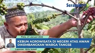 Warga Tangse Kembangkan Kebun Agrowisata di Negeri Atas Awan