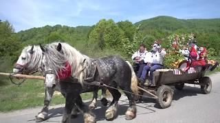 Vasi Oșanu-Zâi Văsâcă din Negresti