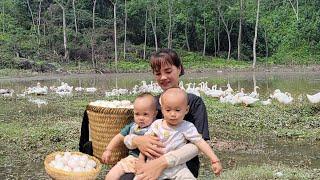 Parents and children's life: Harvesting duck eggs Going to the market to sell - Cooking