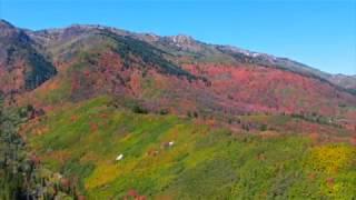 Ogden, Utah: The Best Fall Colors in Utah