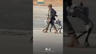Penampakan Robot Anjing Bersenjata Dalam Latihan Militer Tiongkok dan Kamboja