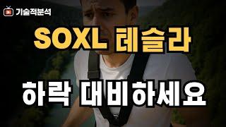 SOXL 테슬라 하락 대비하세요｜SOXL 투자 분기점
