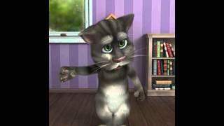 Talking Tom