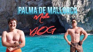 Malle Vlog