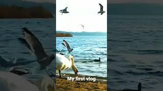 my first vlog  teesri lahar