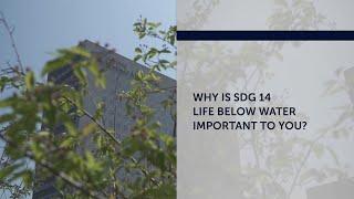 Why is SDG 14 important to you?