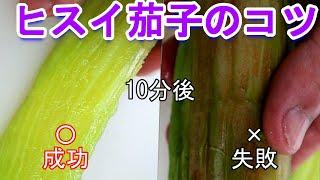 【翡翠茄子】ヒスイ茄子　失敗と成功の理由