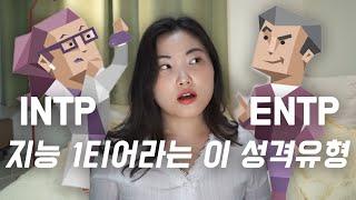 똑똑한데 의외로 헛똑똑이 MBTI 유형