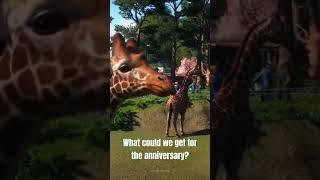 Anniversary Animal 2023? | Planet Zoo