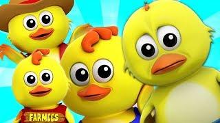 cinque piccoli pulcini | filastrocche | Musica per Bambini | Five Little Chicks | Farmees Italiano