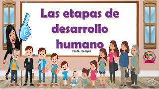 Las etapas de desarrollo humano