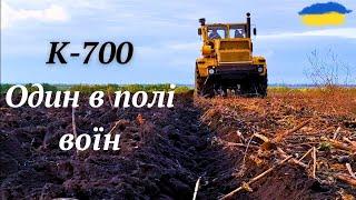 К-700 початок сезону. Налаштування плуга. Засуха. LEGENDARY K-701. Tractor .MONSTER.