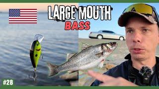 Vang Ik Vandaag Een Large Mouth Bass?! - Normale Dingen Doen #28